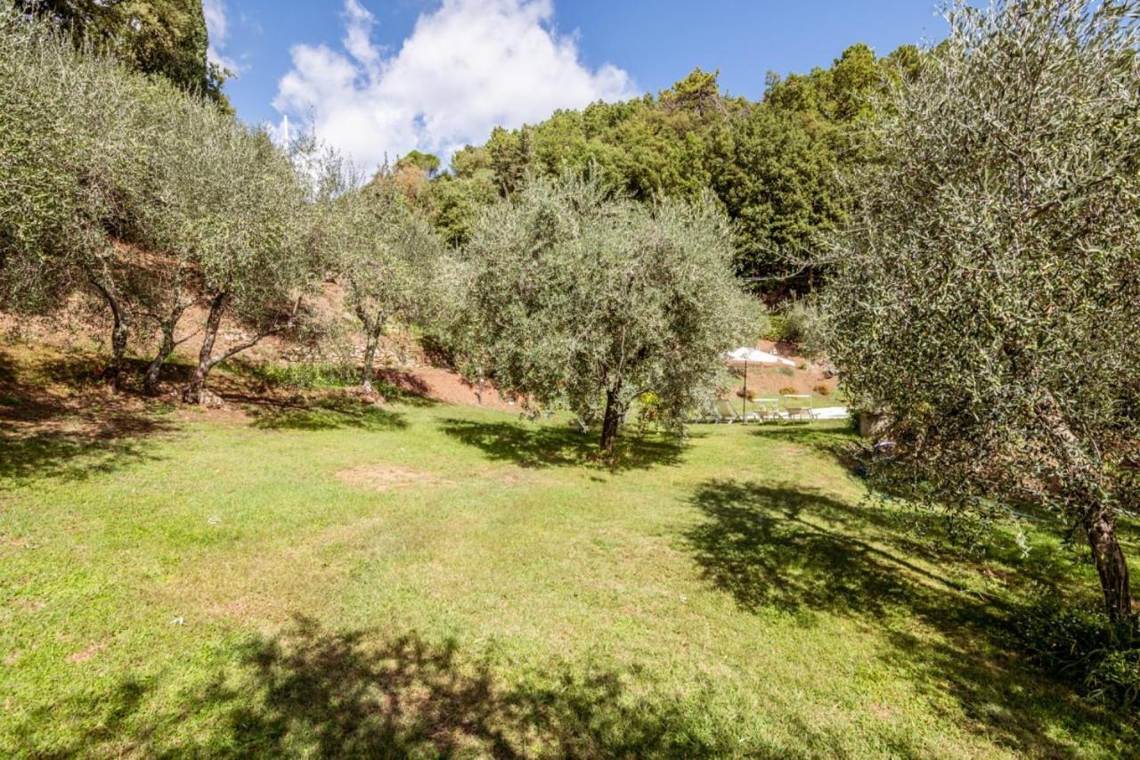 Al Giardino Degli Ulivi *